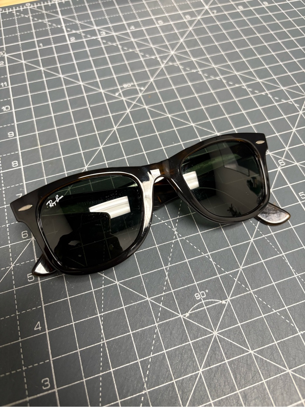 Ray Bay Wayfarer Sunglasses (Tortoise)